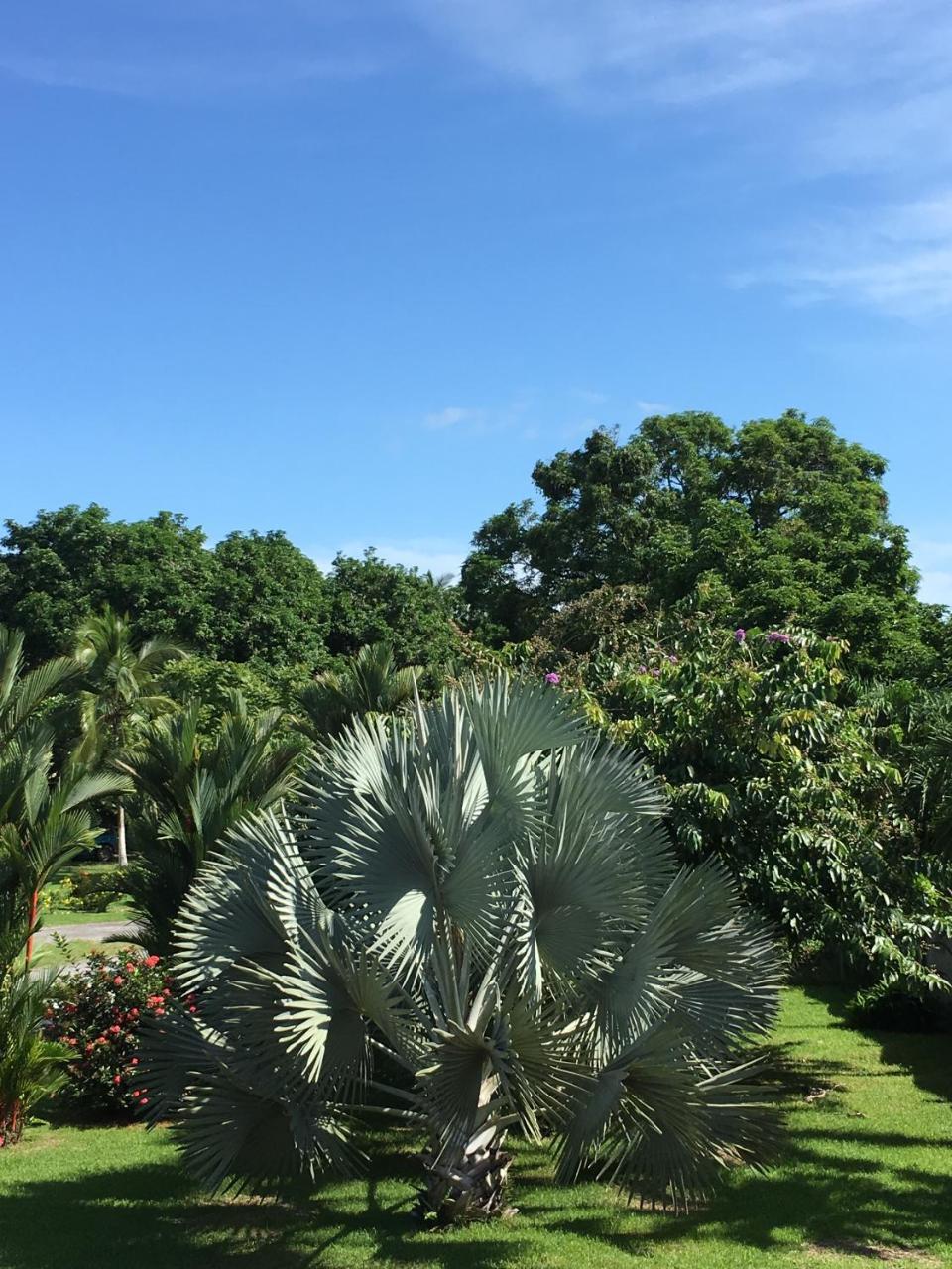 Hotel Los Higuerones Paso Canoas Экстерьер фото